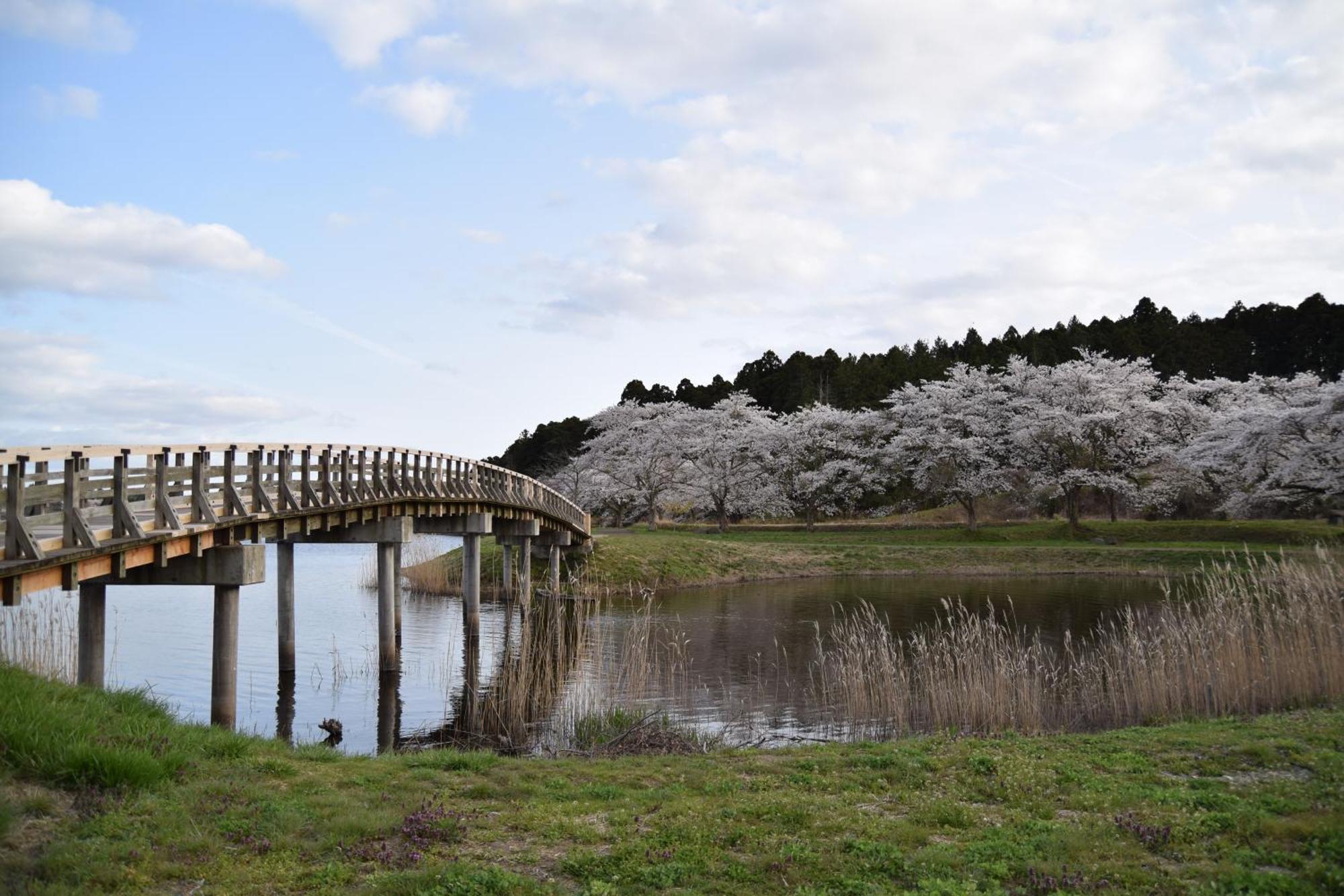 Minami Sanriku Hotel Kanyo Shizugawa Экстерьер фото